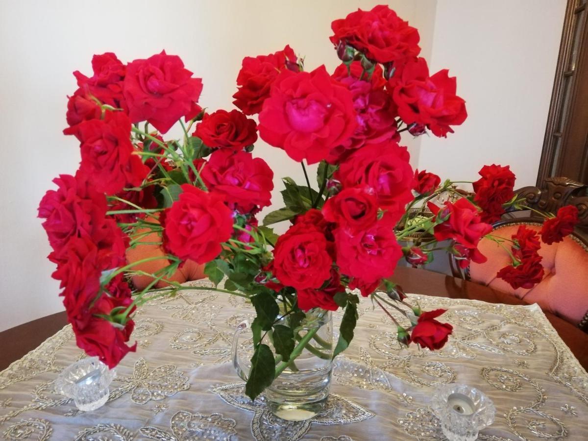 Rosen Und Rosse Daire Zweibrücken Dış mekan fotoğraf